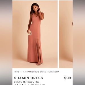 Birdy Grey bridesmaids dress: Shamin dress in Terracotta